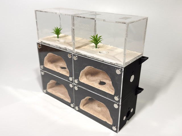 SubTerra (New 2025)